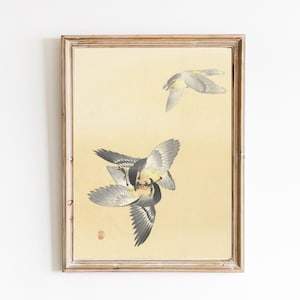 FREE SHIPPING - Vintage Birds Neutral Botanical Art - Farmhouse Vintage Decor - Bright Vibrant Yellow Wall Art