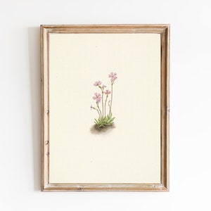 GRATIS VERZENDING - Vintage aquarel wilde bloem tekening art print - roze bloem 19e eeuwse illustratie - neutrale woonkamer muur decor
