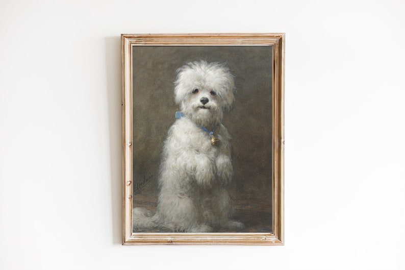 FREE SHIPPING Maltese Terrier Dog Oil Painting Cute Dog Standing Up Art Print Small White Dog Wall Art image 1