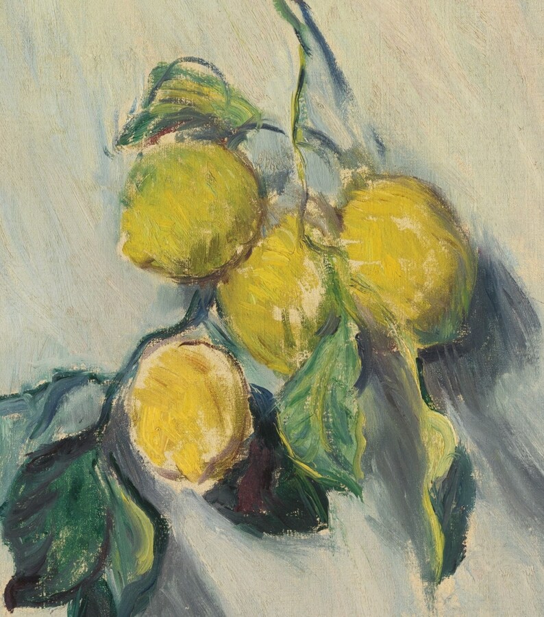 May include: A still life painting of lemons with green leaves on a white background. The lemons are yellow and have a textured surface. The leaves are green and have a smooth surface.