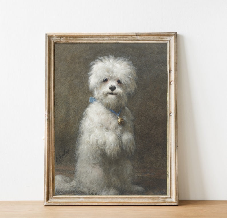 FREE SHIPPING Maltese Terrier Dog Oil Painting Cute Dog Standing Up Art Print Small White Dog Wall Art image 4