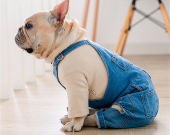 french bulldog women's clothing