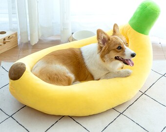 cute small dog bed
