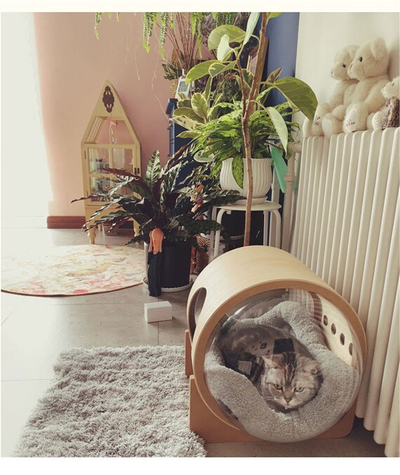 space cat bed