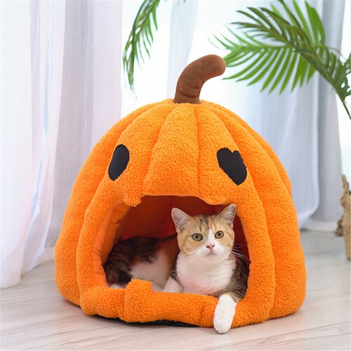 pumpkin cat bed