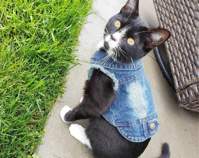 Denim Cat Clothes for Cats Fashion Cat Coat Jacket Warm Etsy