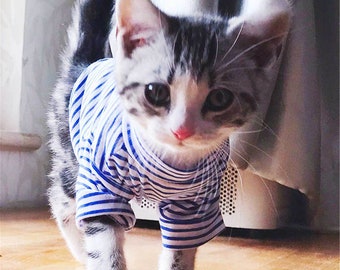 kitten outfits