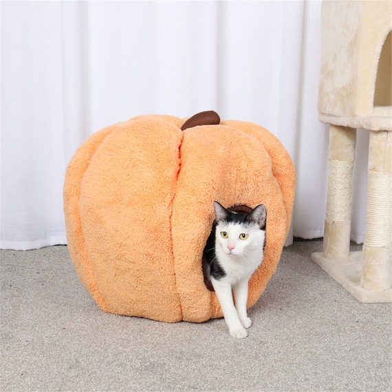 pumpkin cat bed
