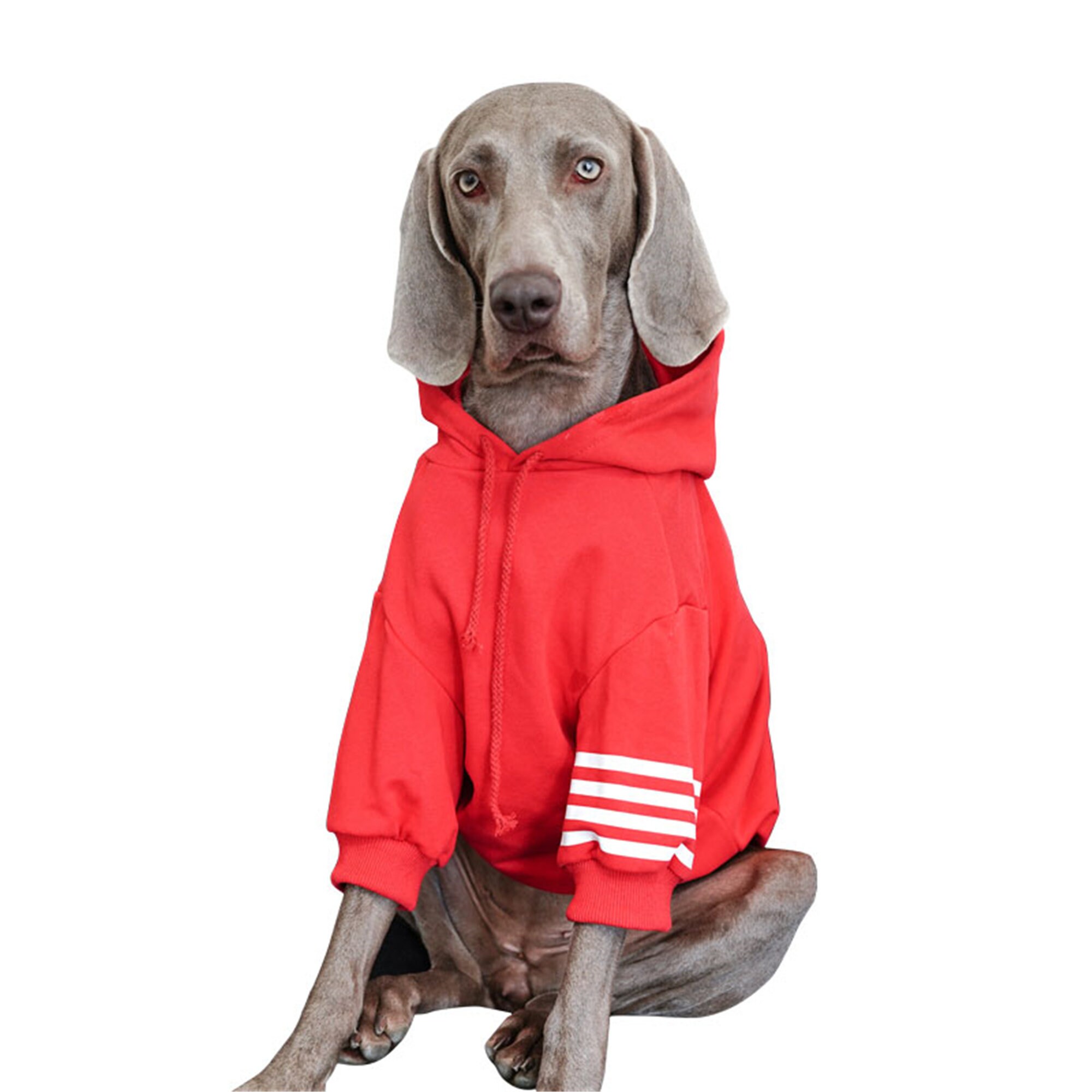 Big Dog Hoodies Sweatshirt Puppy Small Dog Clothes Winter Etsy
