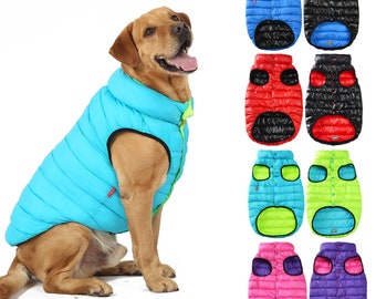 large dog jacket