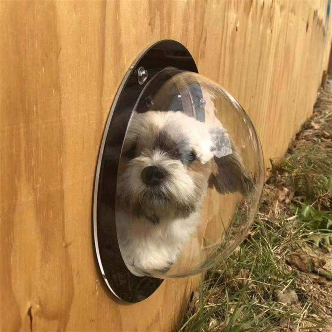Dog Porthole Window Round Transparent for Fence Pet Peek Look Etsy UK