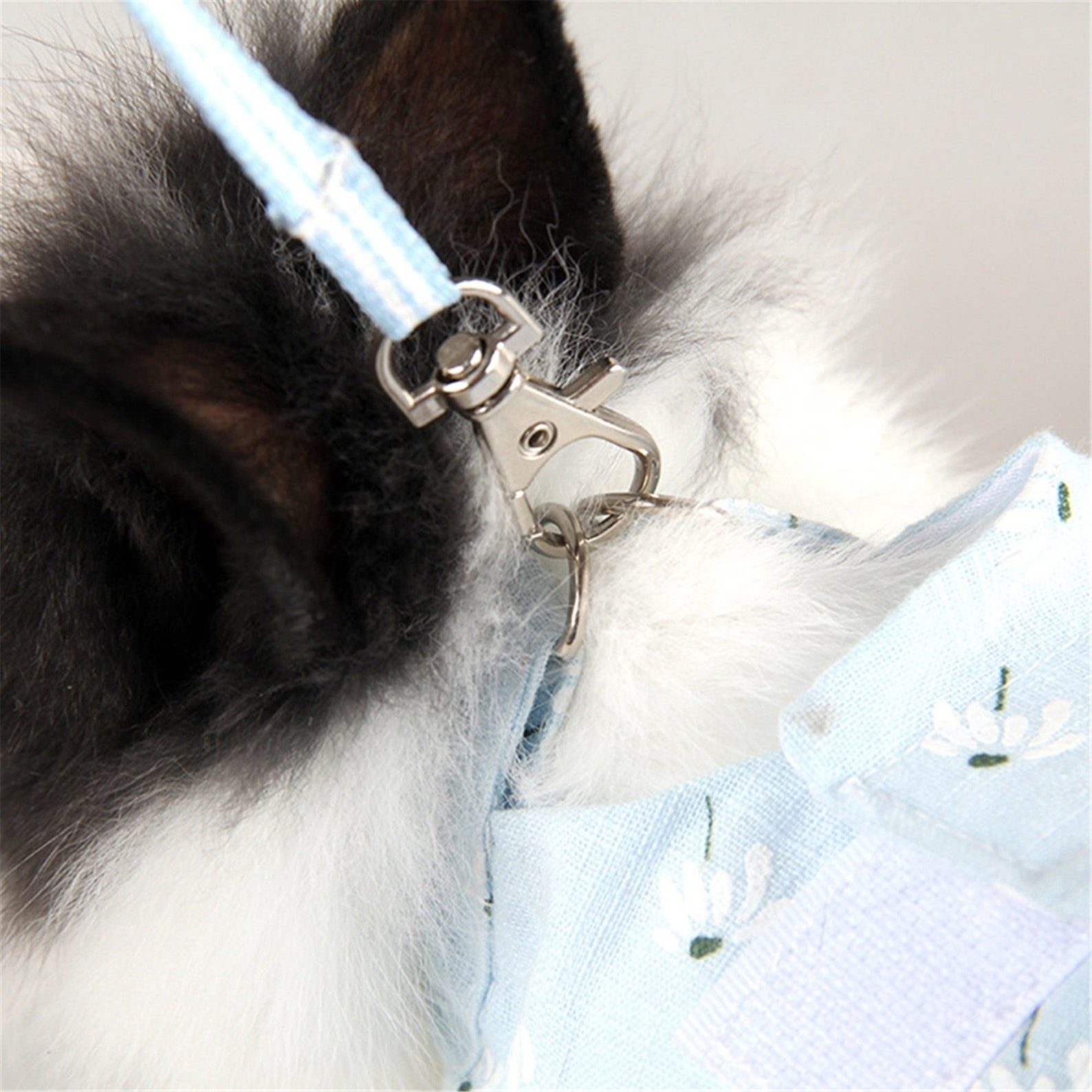 Guinea Pigs Harness Vest Leash Set Rat Small Pet Chest Strap Etsy