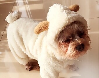dog dressed as sheep