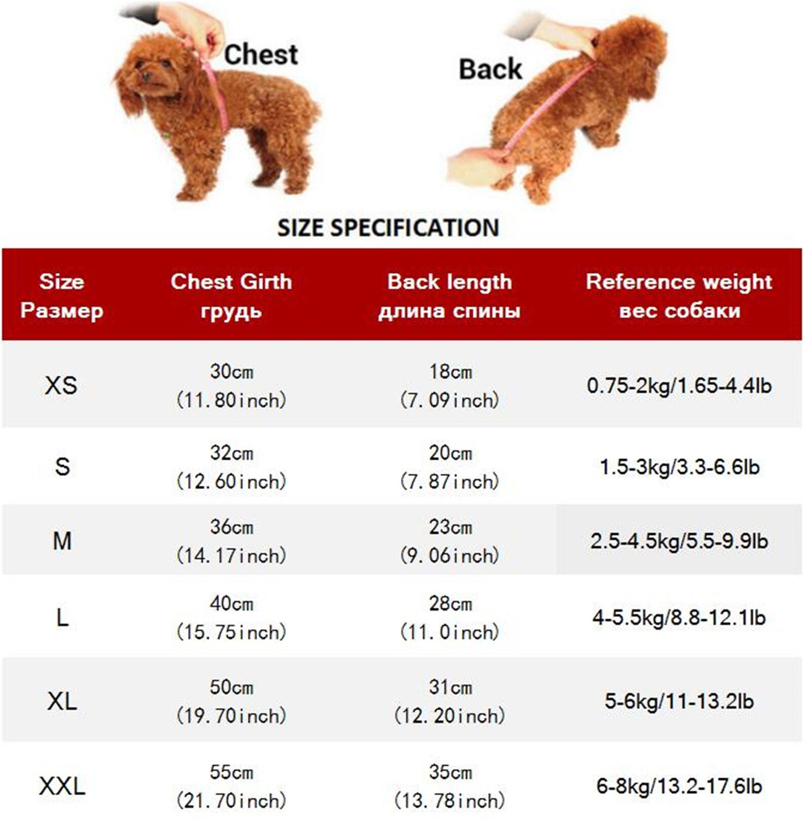 Denim Cat Clothes for Cats Fashion Cat Coat Jacket Warm Etsy