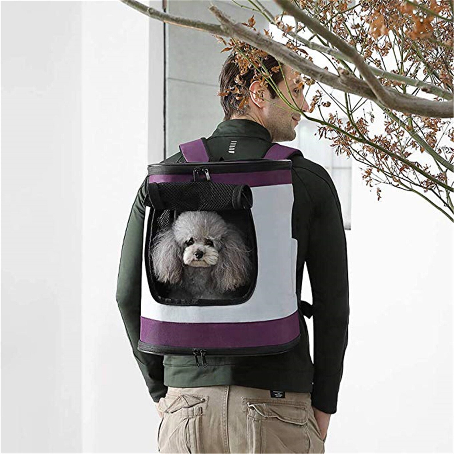 Pet Cat Carrying Backpack Breathable Pet Carrier Backpack Etsy