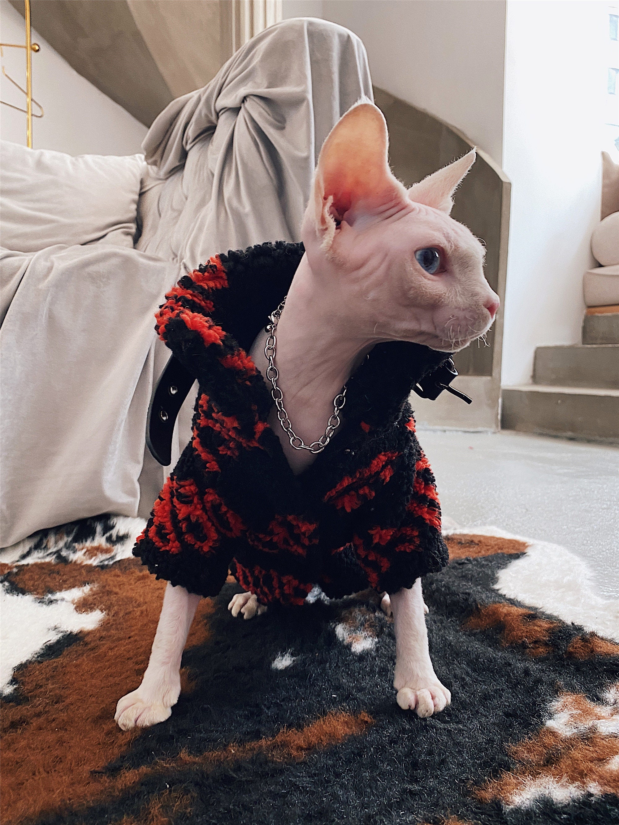 Hairless Cat Clothing Sphinx Devon Red Letter Autumn Winter Etsy