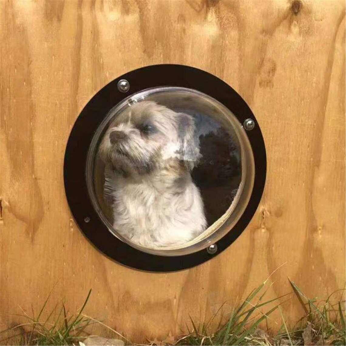 Dog Porthole Window Round Transparent for Fence Pet Peek Look Etsy UK