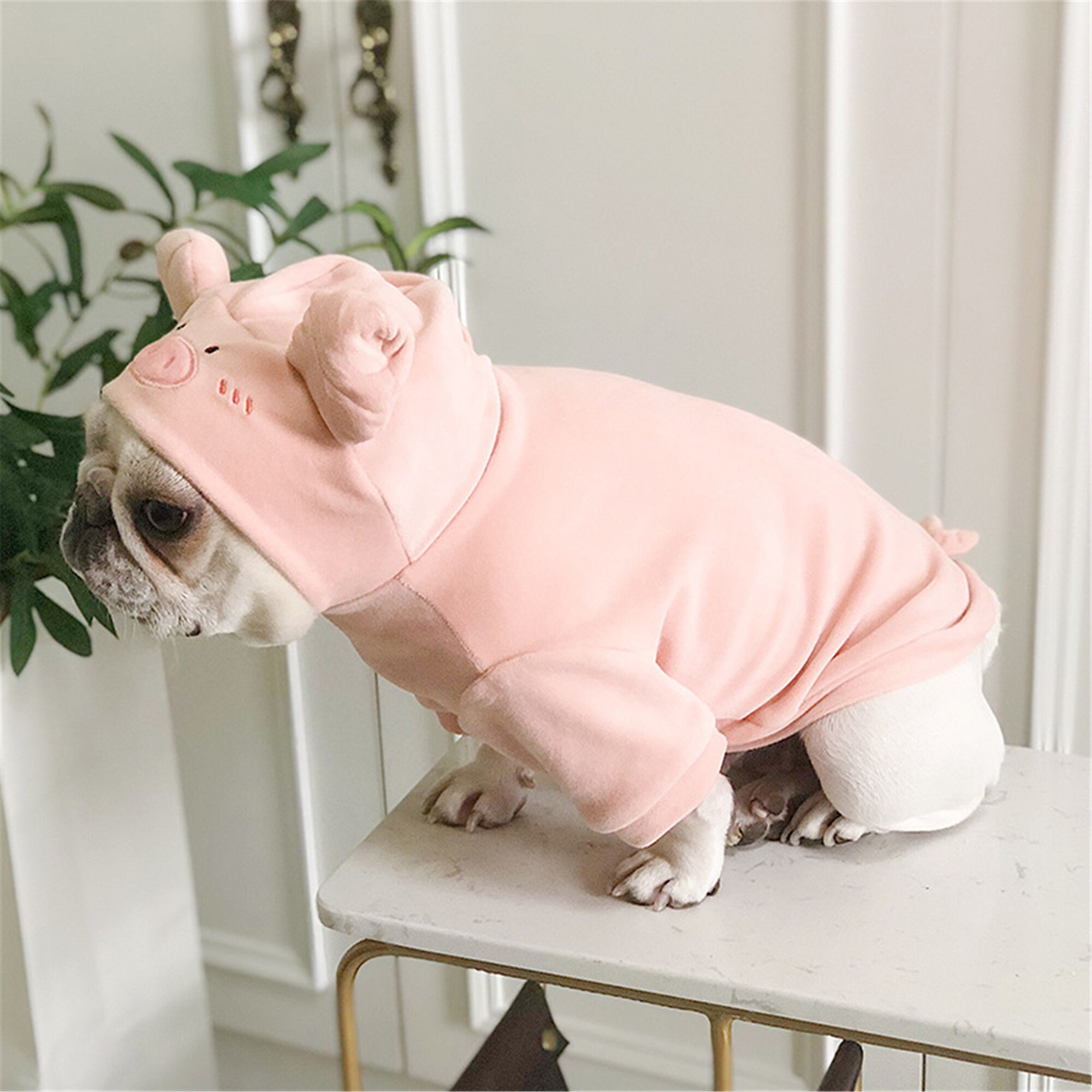 Cute Pig Shape Velvet Funny Costume Pet Dog Clothes for Small Etsy