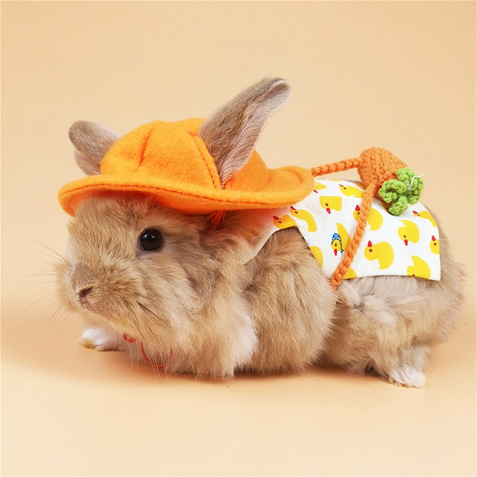 Cute Bunny Vest Harness Outdoor Walking Leash Set With Cute Etsy