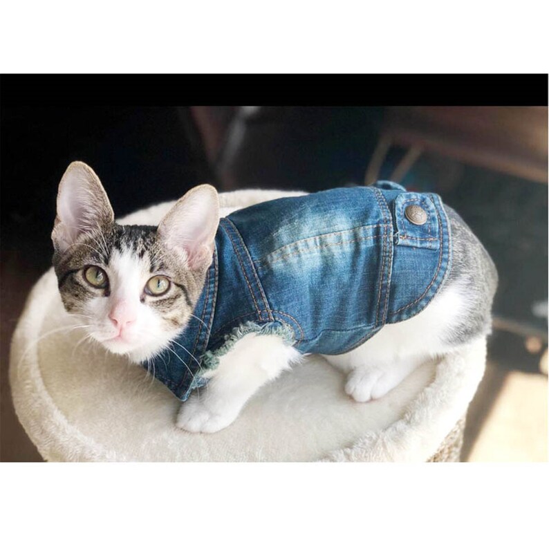 Denim Cat Clothes for Cats Fashion Cat Coat Jacket Warm Etsy