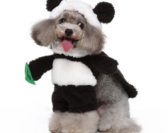 dog dressed as panda