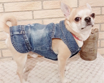 puppy denim jacket