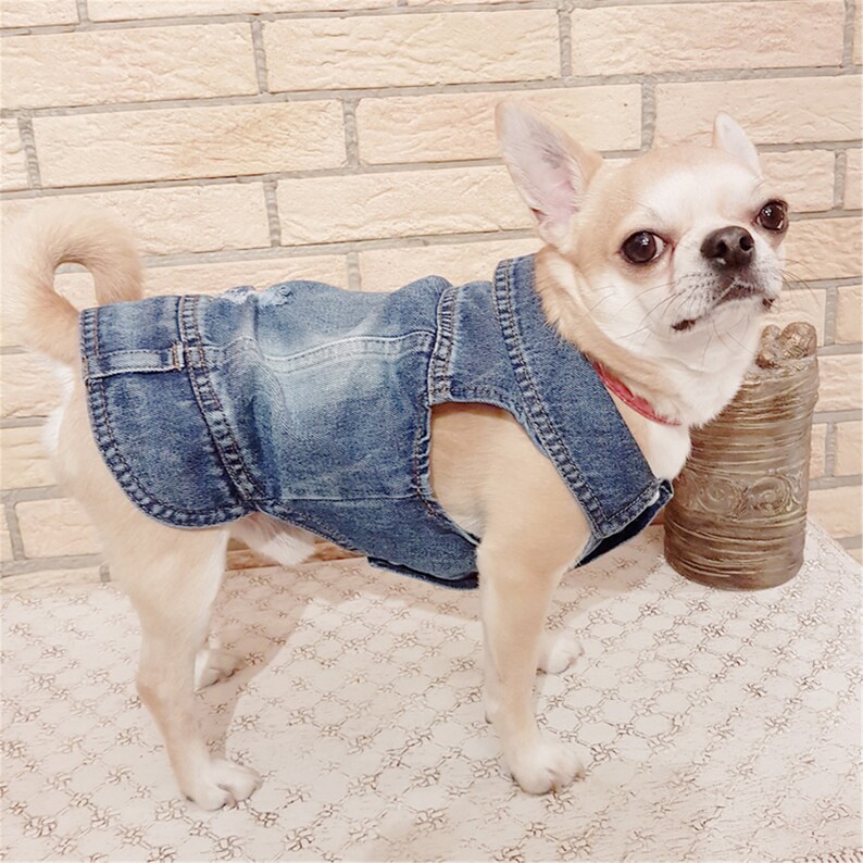 Spring Classic Cool Denim Dog Jacket Jeans for Dogs Cowboy Etsy