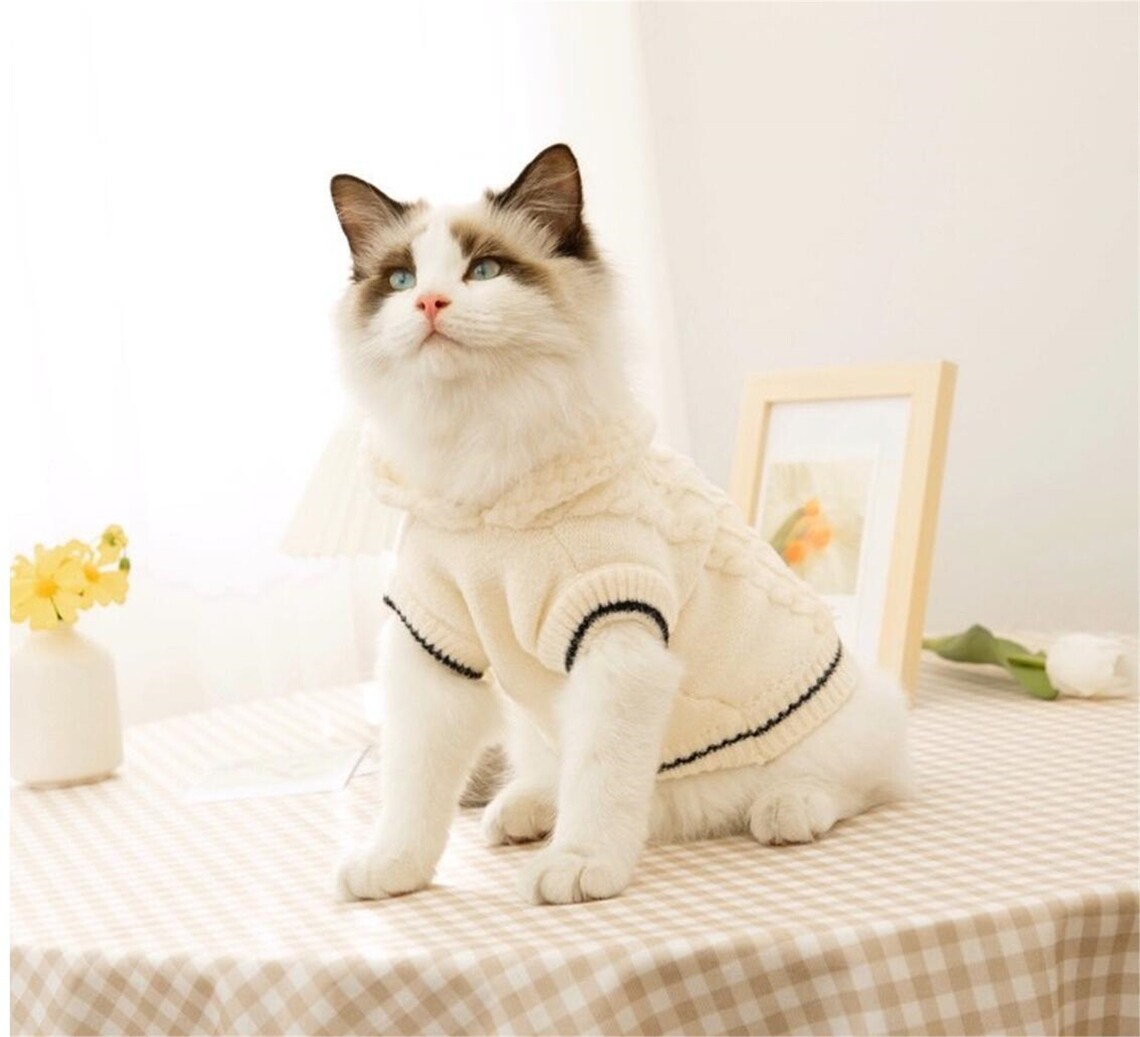 Pet Cat Clothes Winter Hooded Knit Sweater For Cat Puppy Small Etsy