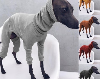 concealed motion cat toy