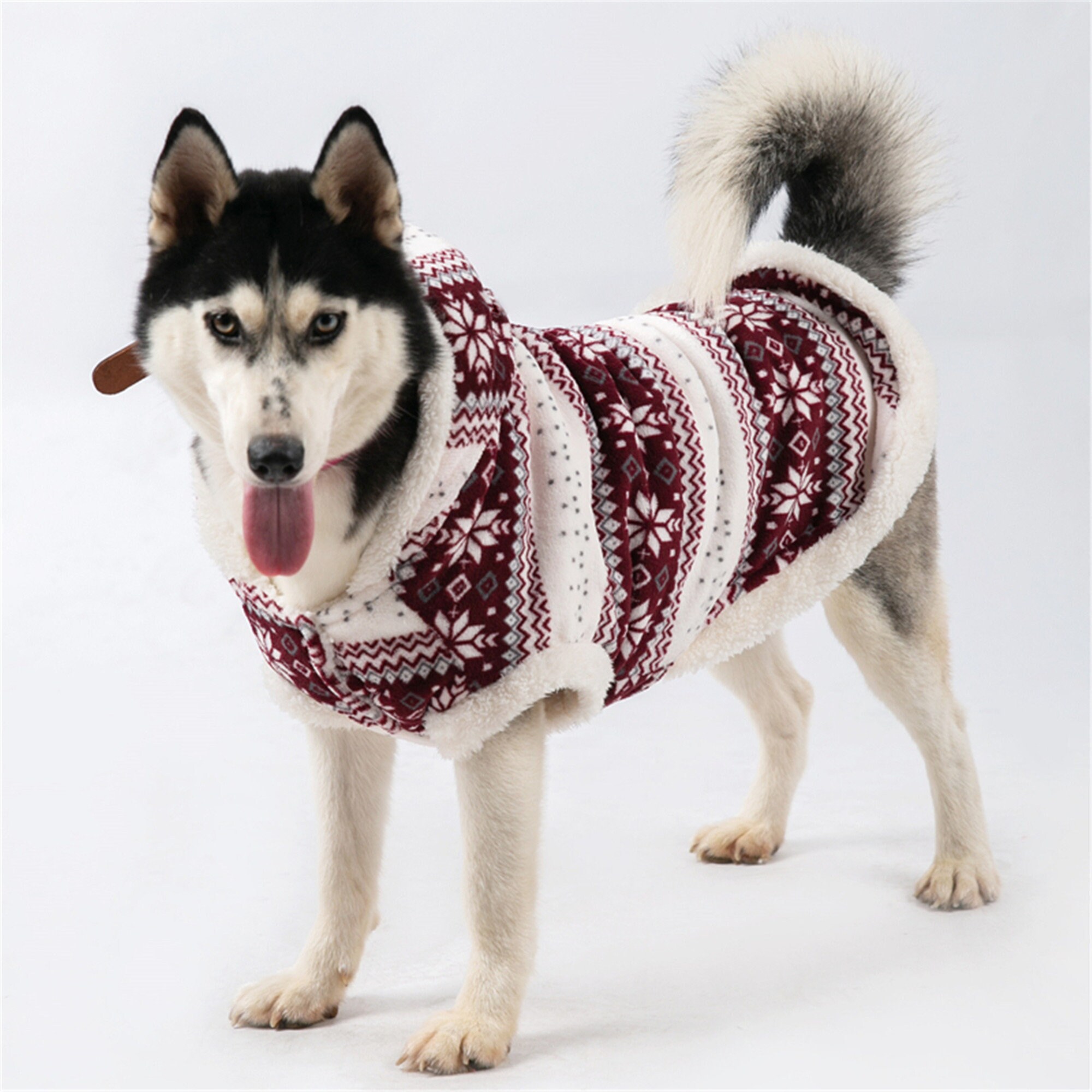 husky dog clothes