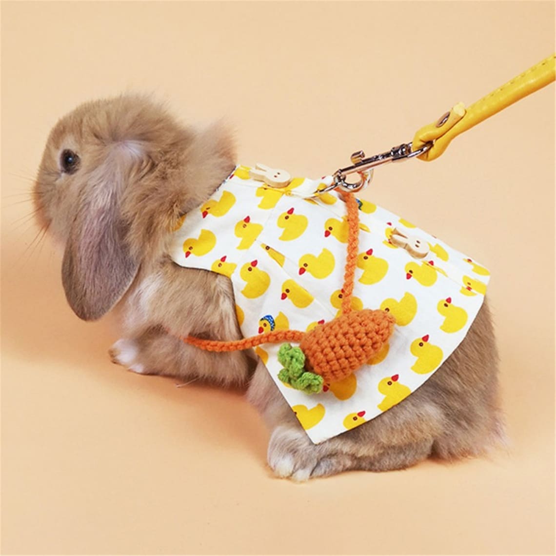 Baby bunny harness Clearance