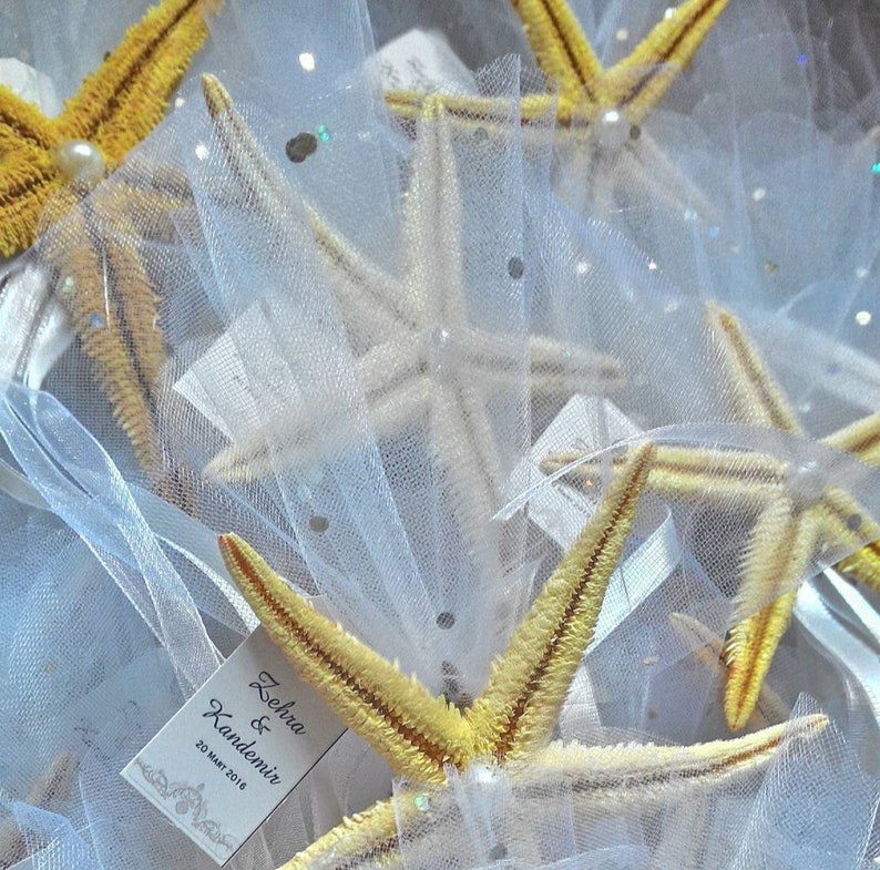 2 Pieces Bat Starfish Sea Shells - 4-5 Inch, Real Beach Wedding Craft Decor #JC-054