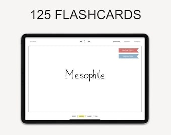Digital Flashcards | Hyperlinked  |  24 Sets  | Grid, Dotted, Lined, Blanc | Instant Download | For iPad/Tablet | Goodnotes & Notability