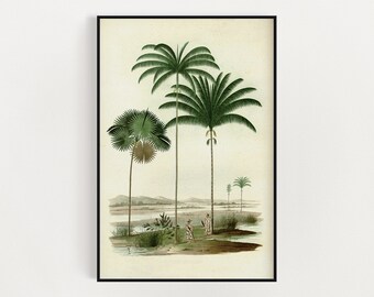 Palm Tree Home Decor Parlor Palm I Black Framed Wall Art Print Palm Tree Home Decor Parlor Palm I Black Framed Wall Art Print