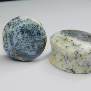 Dendritic Opal Pinchers Stretcher Septum Tapers  Gauges Pair Plugs  Custom Size Available