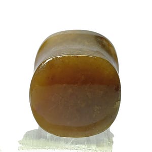 May include: A cylindrical, amber-colored stone plug. The plug has a smooth, polished surface and a rounded shape. The stone is a warm, earthy tone, with variations in color. The plug is likely used for body modification.