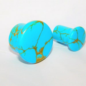 May include: A pair of turquoise and gold ear gauges. The larger gauge is on the left and the smaller gauge is on the right. Both gauges have a marbled pattern with gold veins.