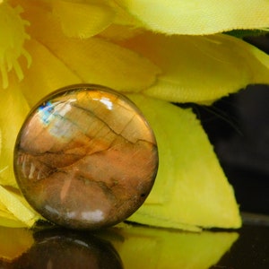 Top Quality Natural Labradorite, Blue & Multi Fire 28 mm Plugs Singal Pc Gauge Plugs With Double Flared Saddle,Stone Plugs PT-128