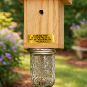 Könnte beinhalten: Eine Holz-Bienenfalle mit einem durchsichtigen Glasbehälter. Die Holzkonstruktion hat ein kleines Loch und ein goldenes Etikett mit der Aufschrift "BEST BEE TRAP". Das Glas ist mit einem Rautenmuster versehen. Der Hintergrund ist mit grünem Laub verschwommen.
