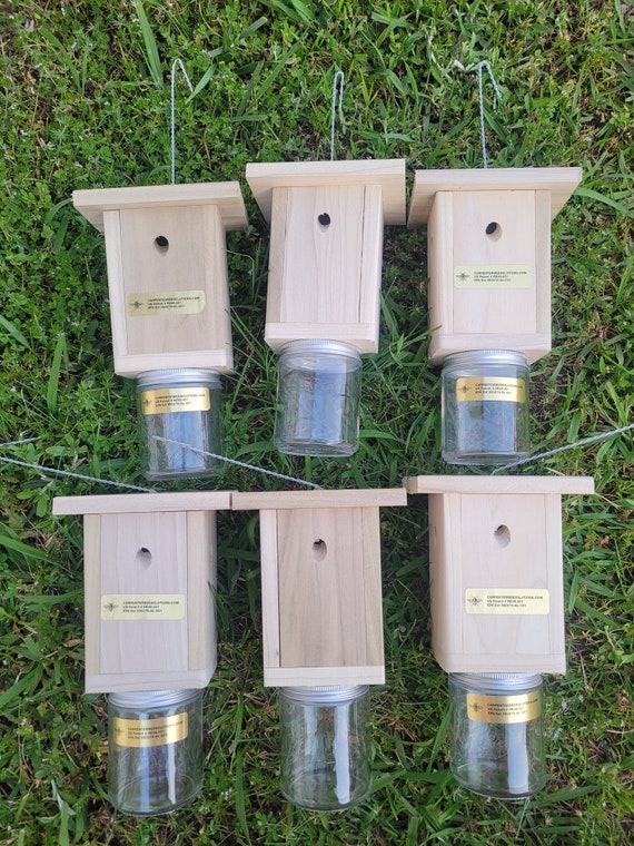 Set of 6 New Carpenter Bee Traps Pressure Treated Handmade Etsy