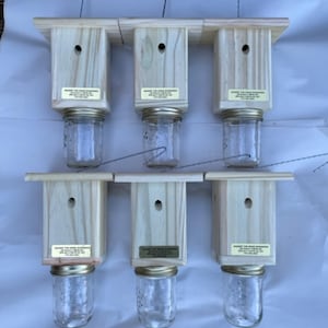 Best Carpenter Bee Trap -Carpenter Bee Trap -Wood Boring Bee Trap -Carpenter Bee Trap for Outdoors -Chemical Free - Free Shipping - Set of 6