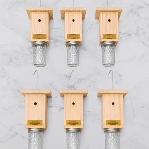 May include: Six wooden bee traps arranged in two rows, each featuring a light-colored rectangular wooden housing with a metal hanging hook at the top, a circular entry hole, and a clear, textured glass jar attached to the bottom base.