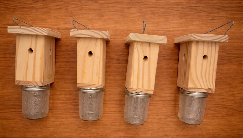 4-Eco-Friendly Carpenter Bee Trap - Wood Boring Bee Deterrent, Set of 4 Bild 7