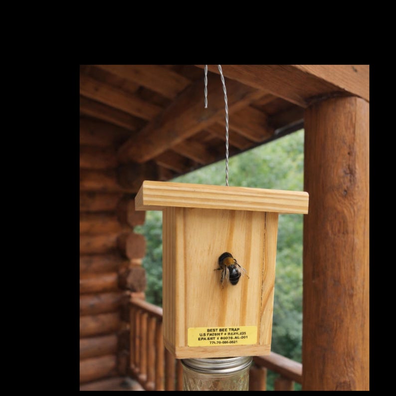 6-Handmade Carpenter Bee Trap – Chemical-Free Wood Boring Bee Solution - Set of 6 image 6