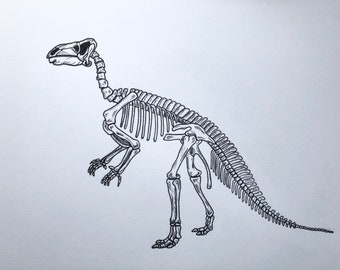 Original Iguanodon A4 | 190gsm paper| black fineliner