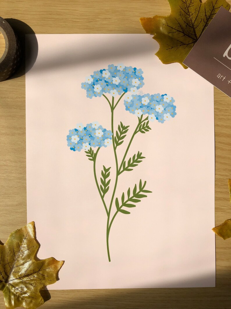 Forget me not flower print image 3
