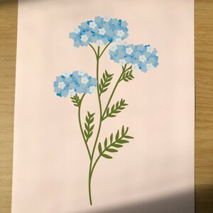 Forget me not flower print image 2