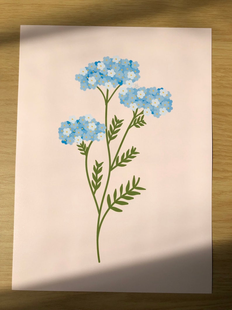 Forget me not flower print imagem 2