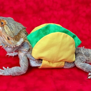 Now that&#39;s what I&#39;m &quot;taco&quot; about! Bearded Dragon Taco Costume Halloween