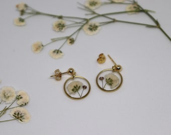 Handmade Earrings, Pressed Baby's Breath, Gold Plated, Resin Earrings, Floral